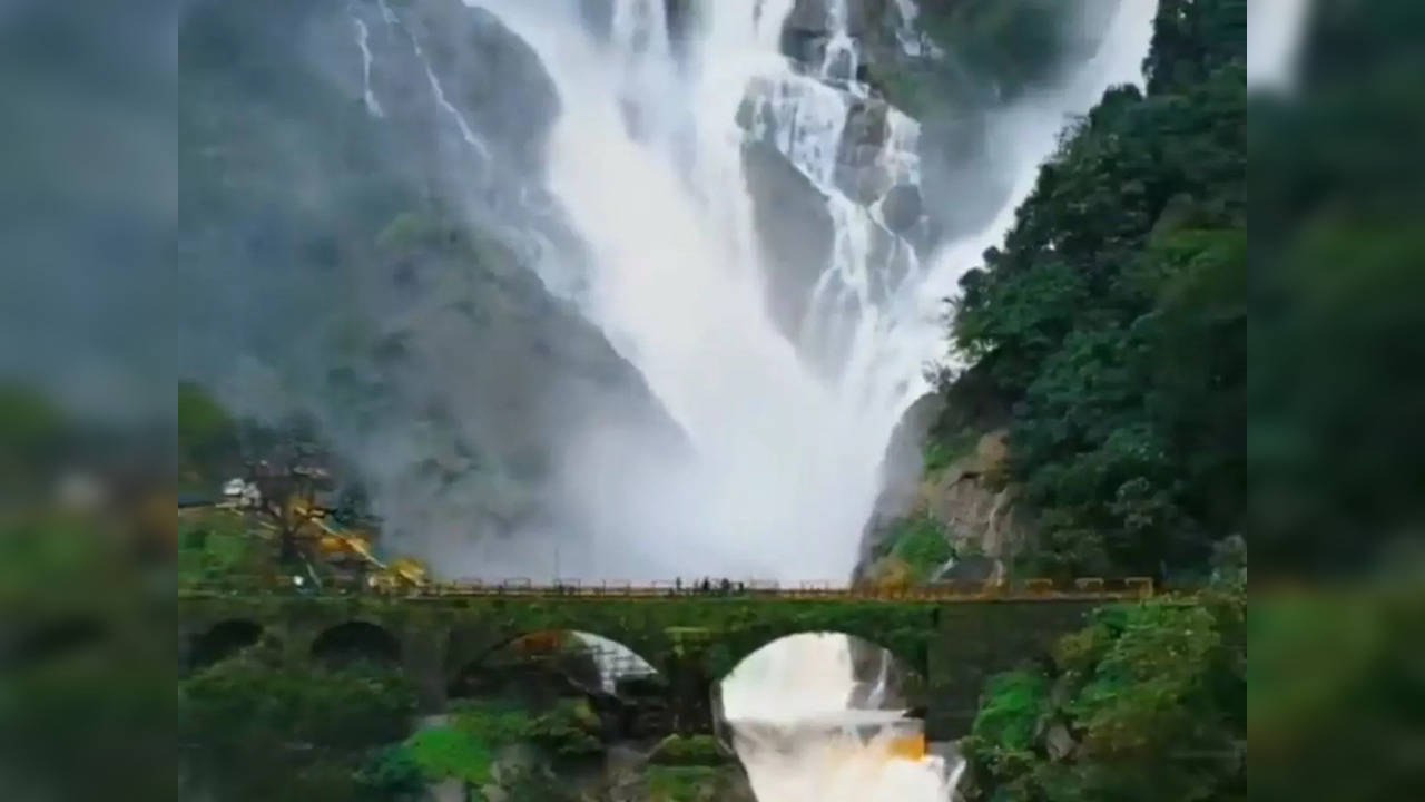 Dudhsagar Waterfalls Tour Sonaulim Goa