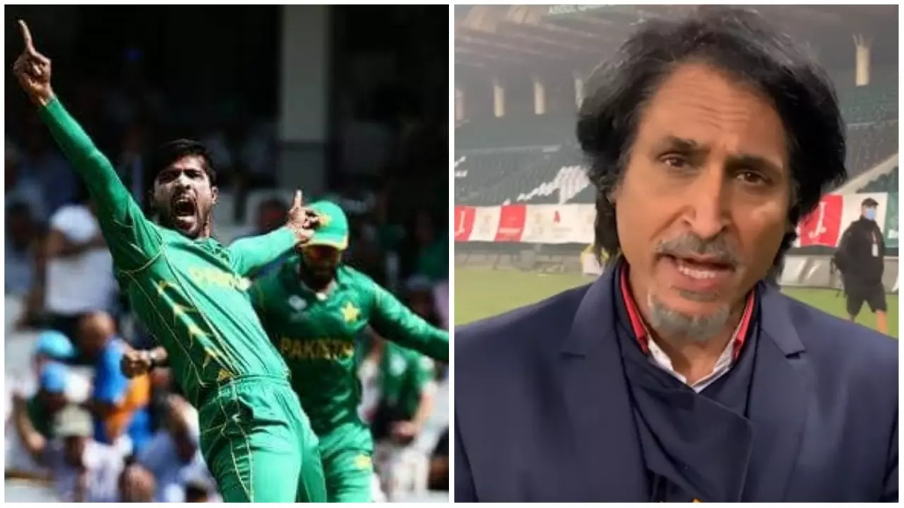 Amir Ramiz Raja IANS