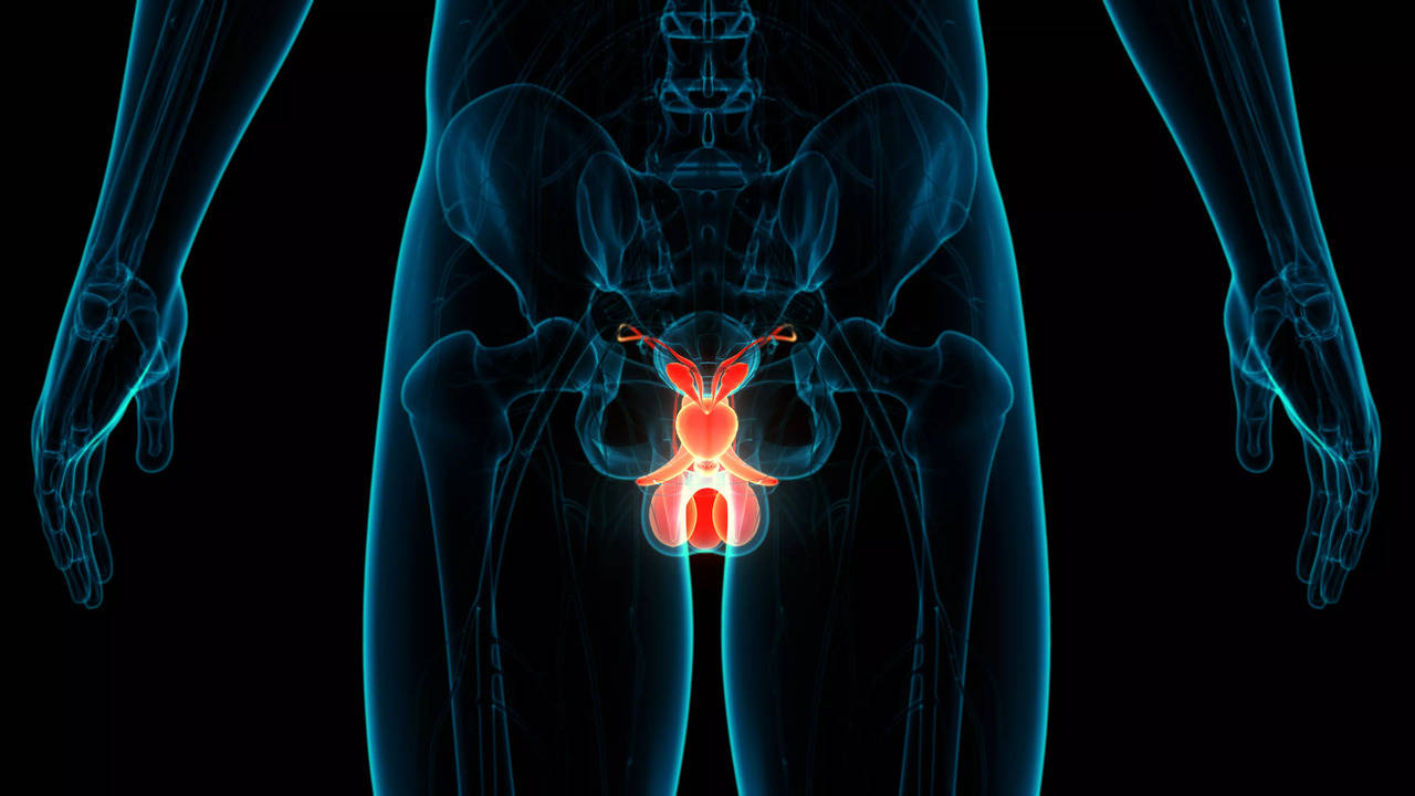 Prostate cancer: Study names the WORST eating habit