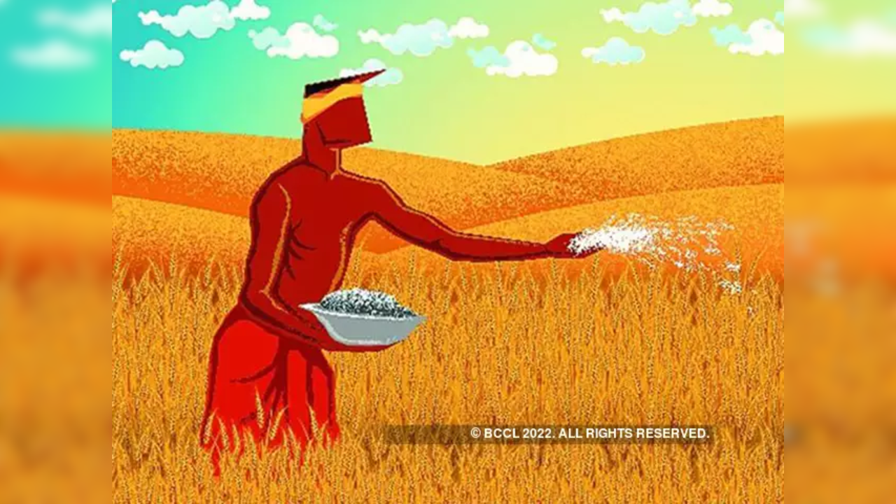 Niti Aayog, WFP to launch initiative on mainstreaming millets in Asia and Africa