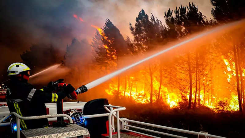 France forest fires images AP photo