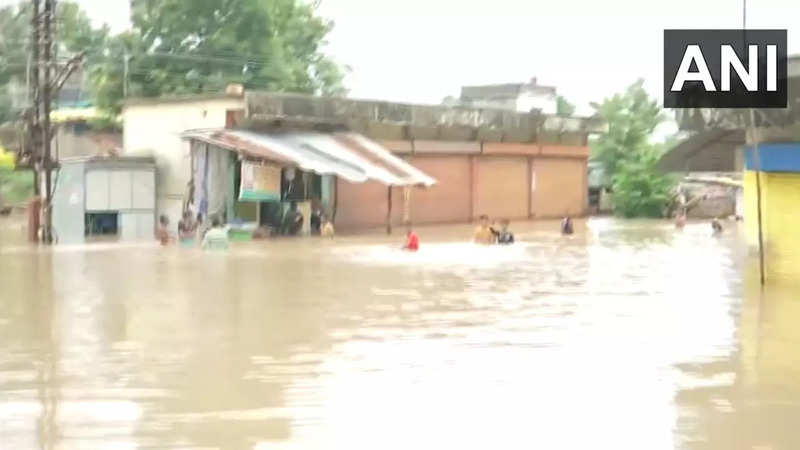 ​Flood situation continues to remain grim in Maharashtra's Chandrapur​