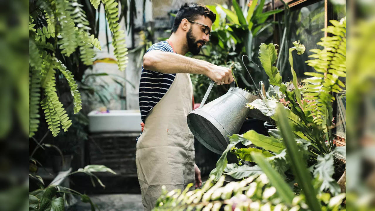 Gardening for mental health