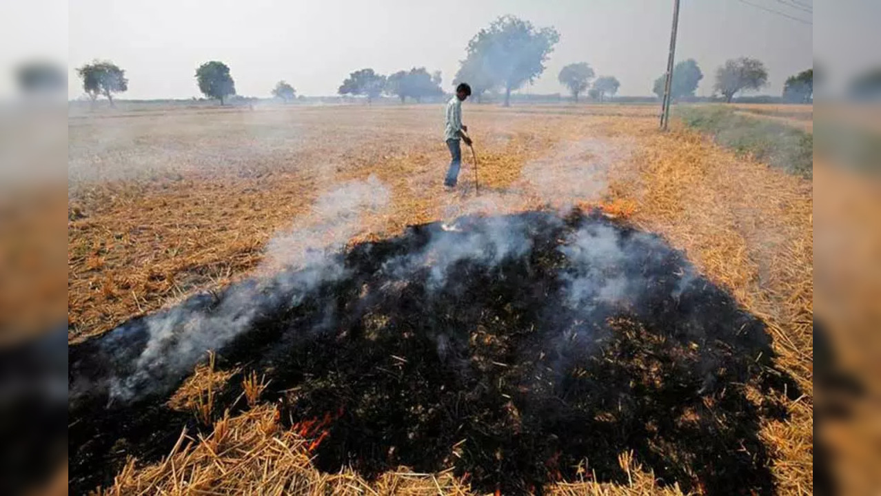 Search for a solution to stubble burning