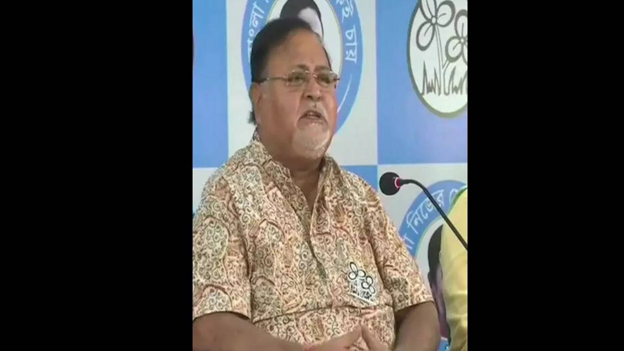 Partha Chatterjee (File Photo)