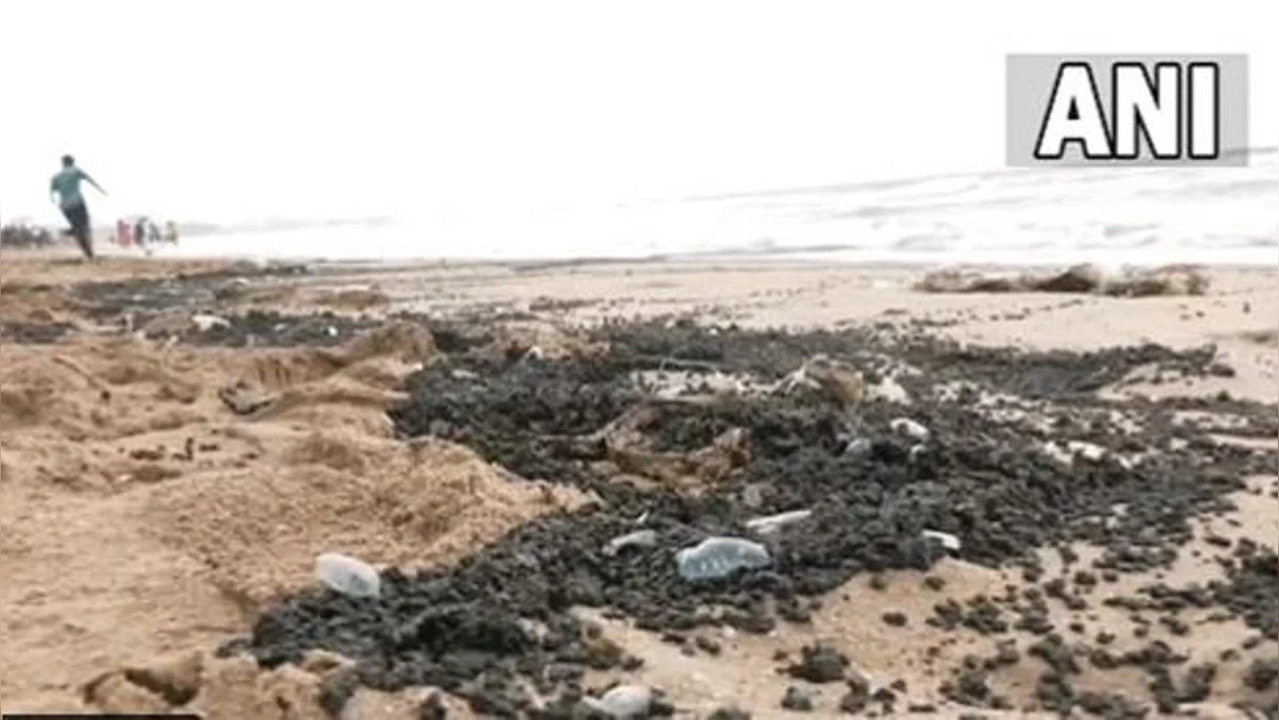 Jelly_Fish_at_Mumbai_Beach.