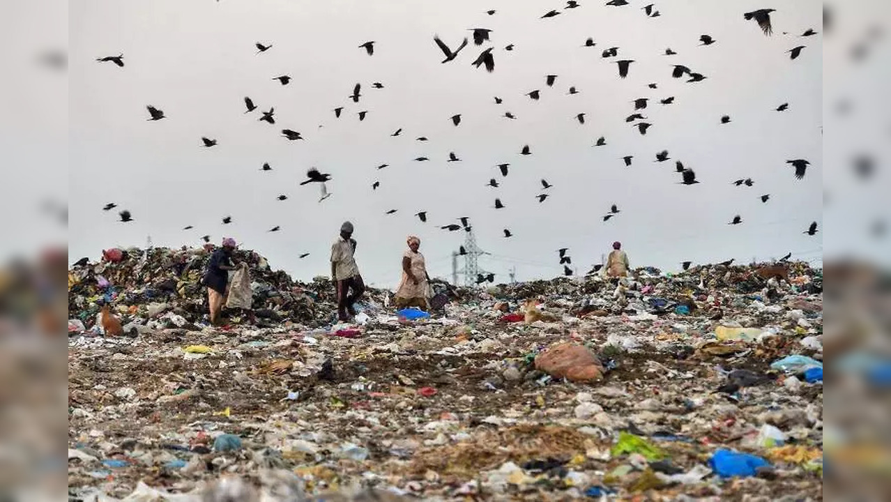 Integrated solid waste management plant to be set up at Kodungaiyur ...