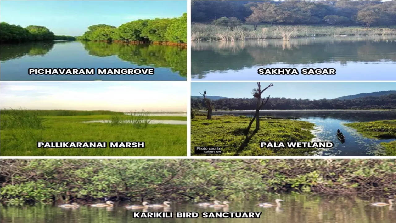 Five new wetland sites with Ramsar tag