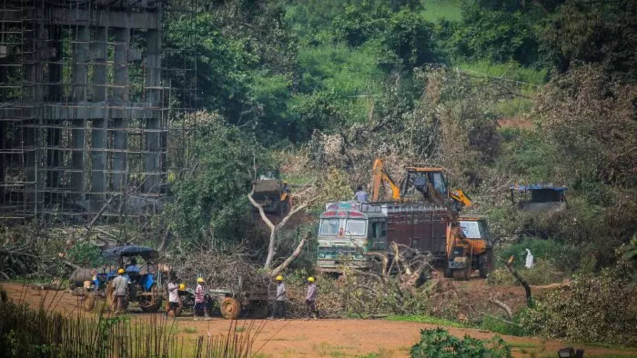 Aarey Colony