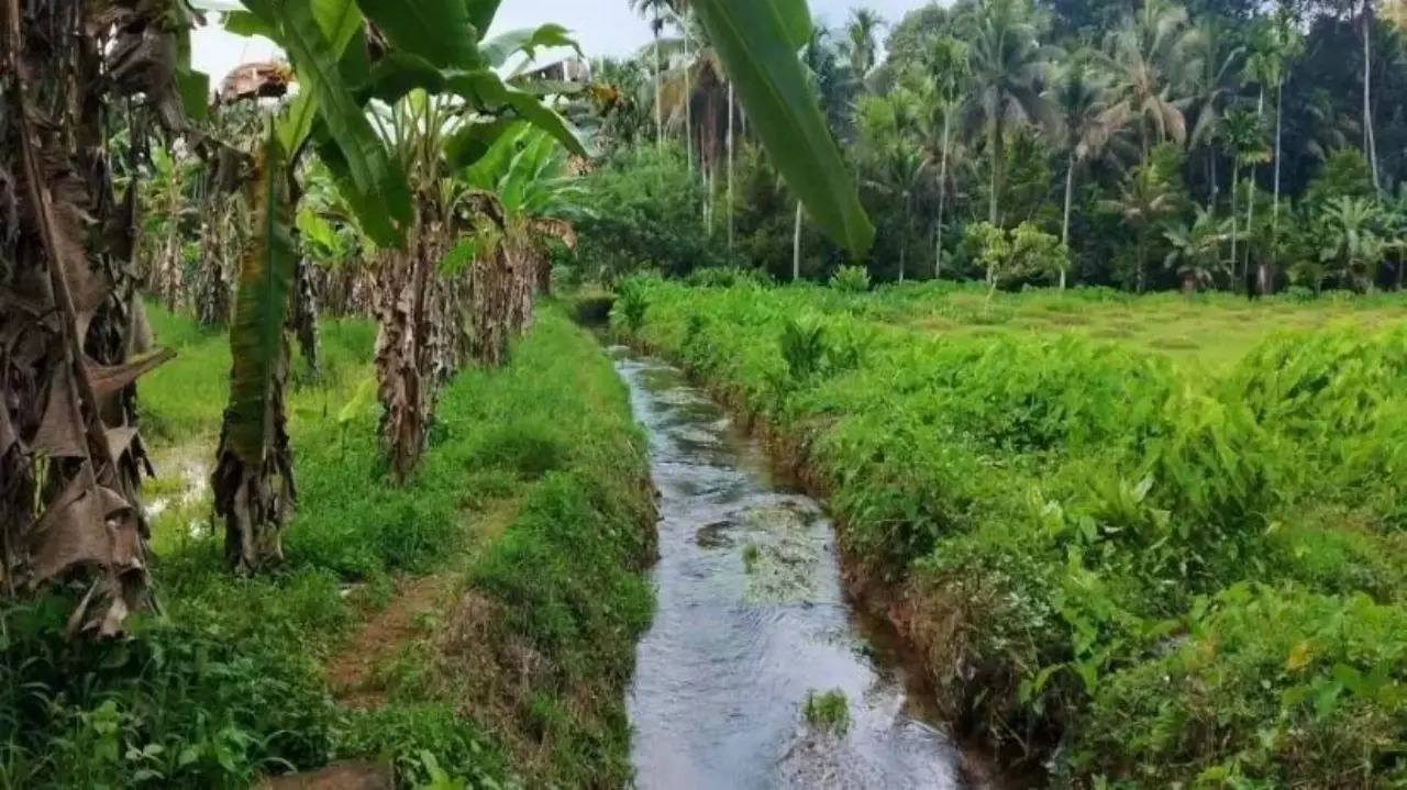 irrigation PTI