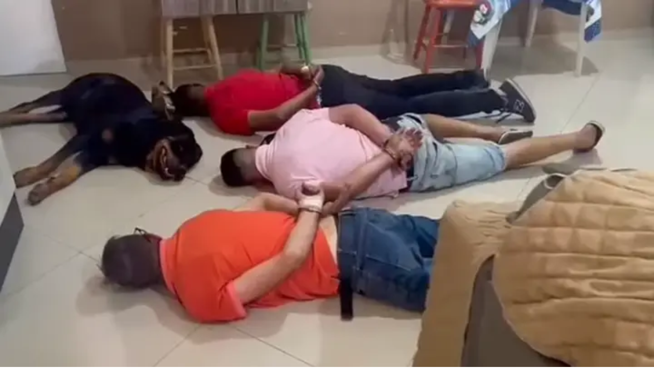 Drug gang's guard dog fails at his job, lies down next to owners during police raid