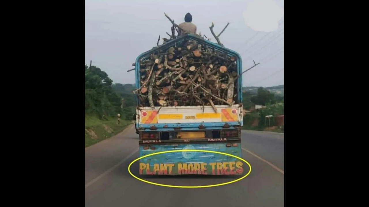 'Plant more trees' written on truck filled with wooden logs