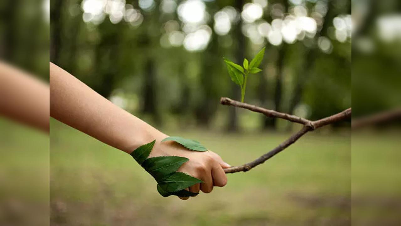 istockphoto-kid befriends plant