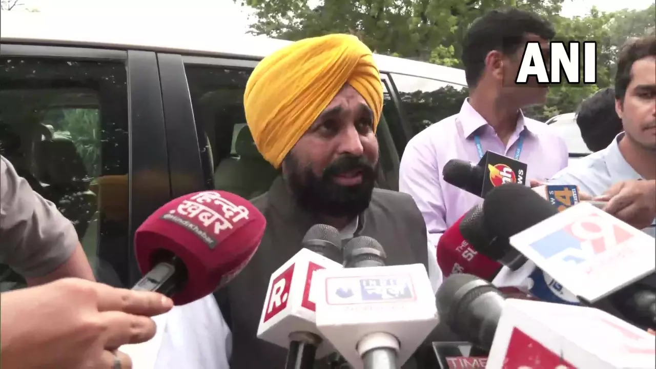 bhagwant mann Niti aayog