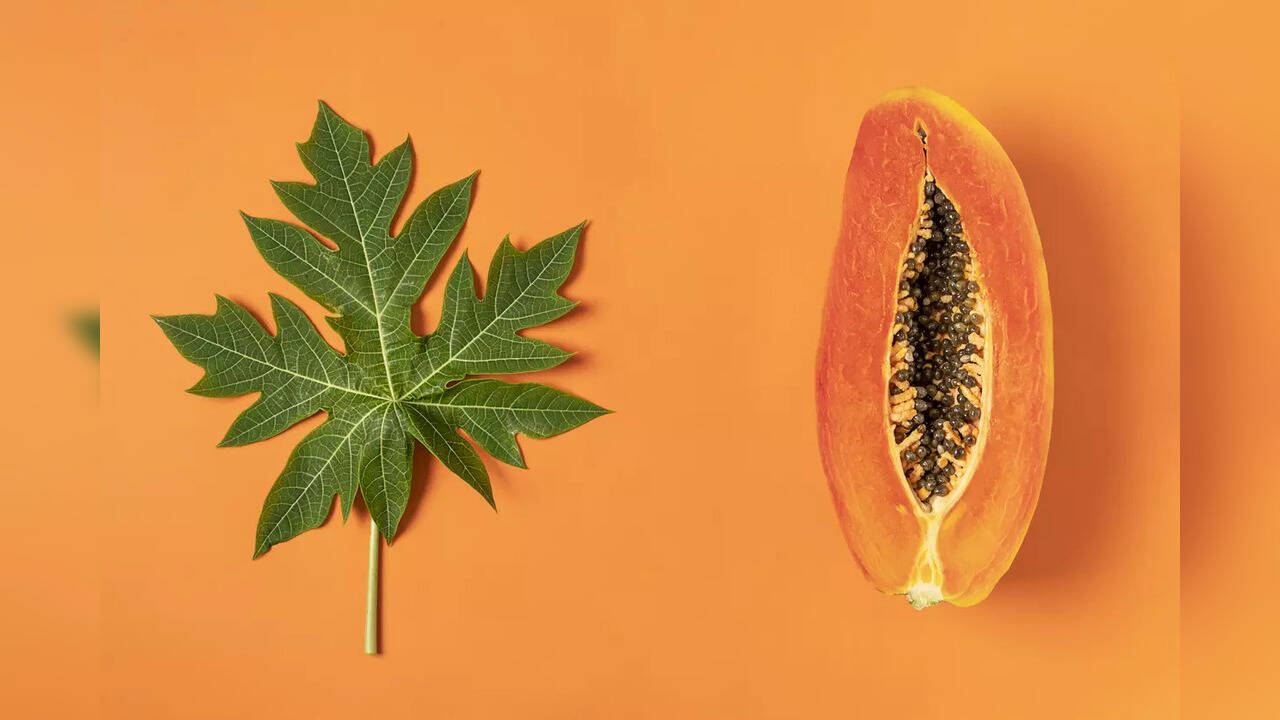 Papaya leaf Health benefits of the leaf; digestion, healthy skin and