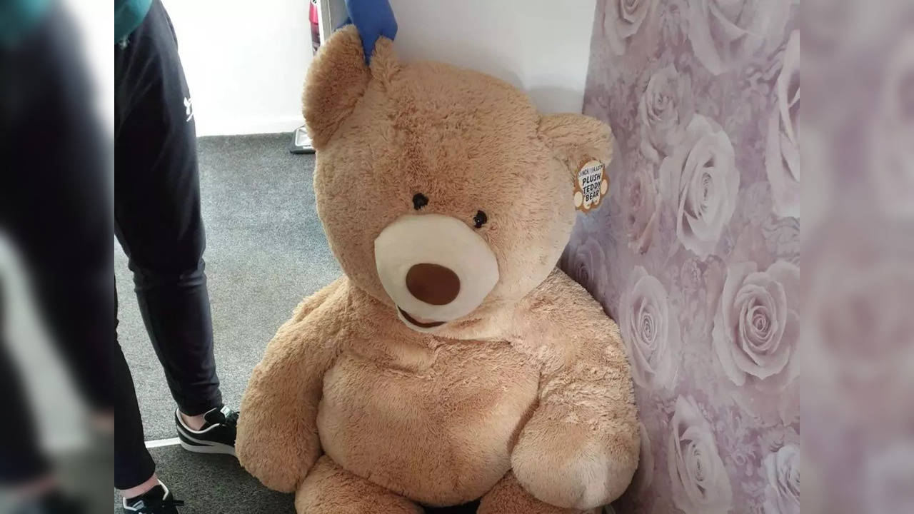 A thief wanted for car theft was caught by the UK police hiding inside a giant 'breathing' teddy bear | Picture courtesy: Facebook/Great Manchester Police