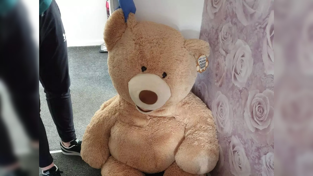 A thief wanted for car theft was caught by the UK police hiding inside a giant 'breathing' teddy bear | Picture courtesy: Facebook/Great Manchester Police