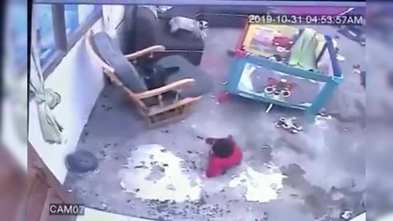Viral video Cat saves baby from falling down the stairs Times Now