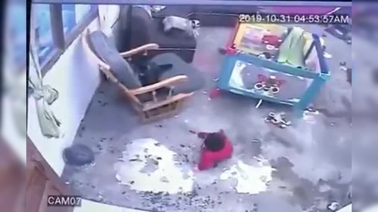 Viral video Cat saves baby from falling down the stairs Times Now
