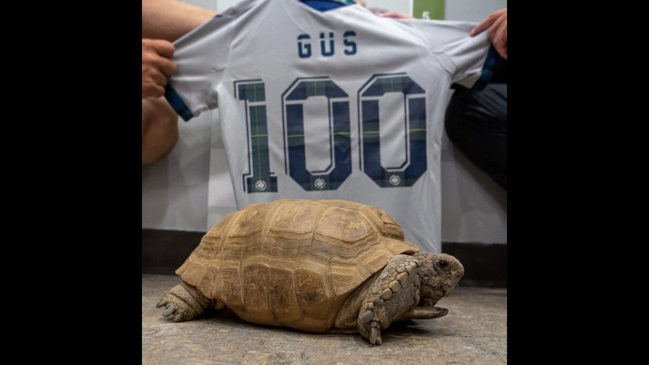 Gus turns 100