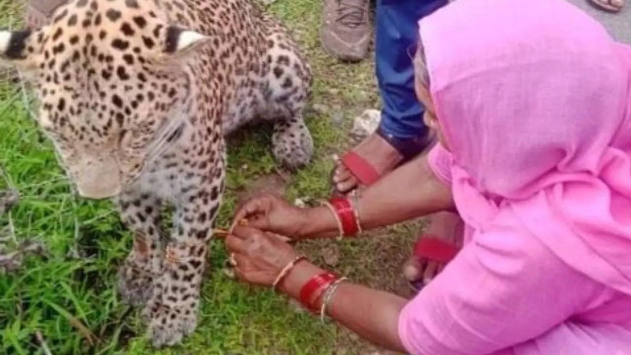 Woman tying rakhi