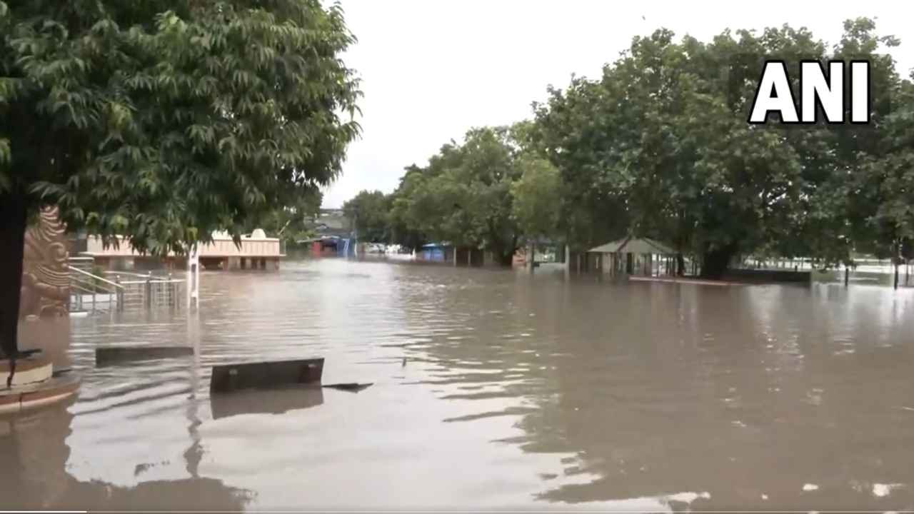 Gujarat rainfall