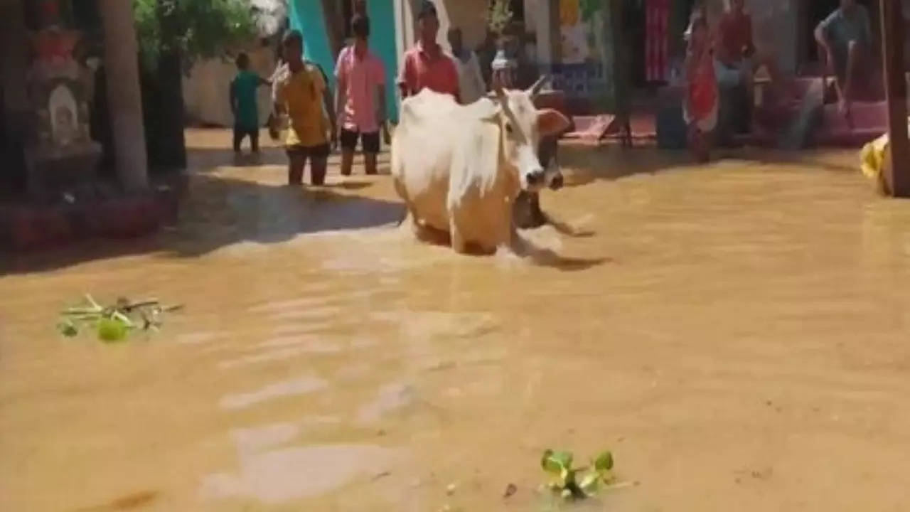 Odisha Floods