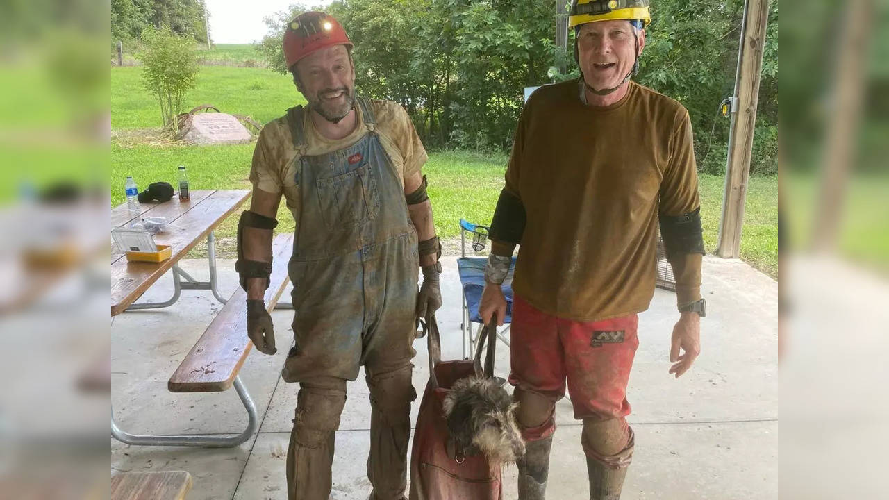 Dog that went missing 2 months ago rescued from Missouri cave | Picture courtesy: Rick Haley