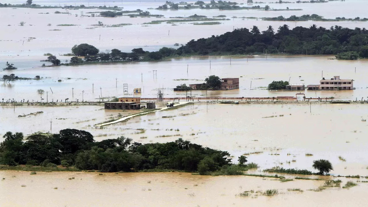 odisha floods