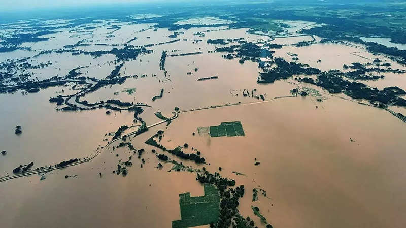 Odisha flood ANI