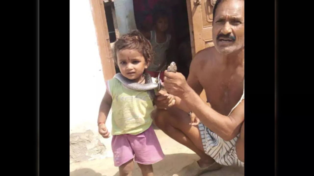 A man, identified as Devendra Mishra, was bitten by a snake while trying to shoot a video with it in a village in Shahjahanpur, UP