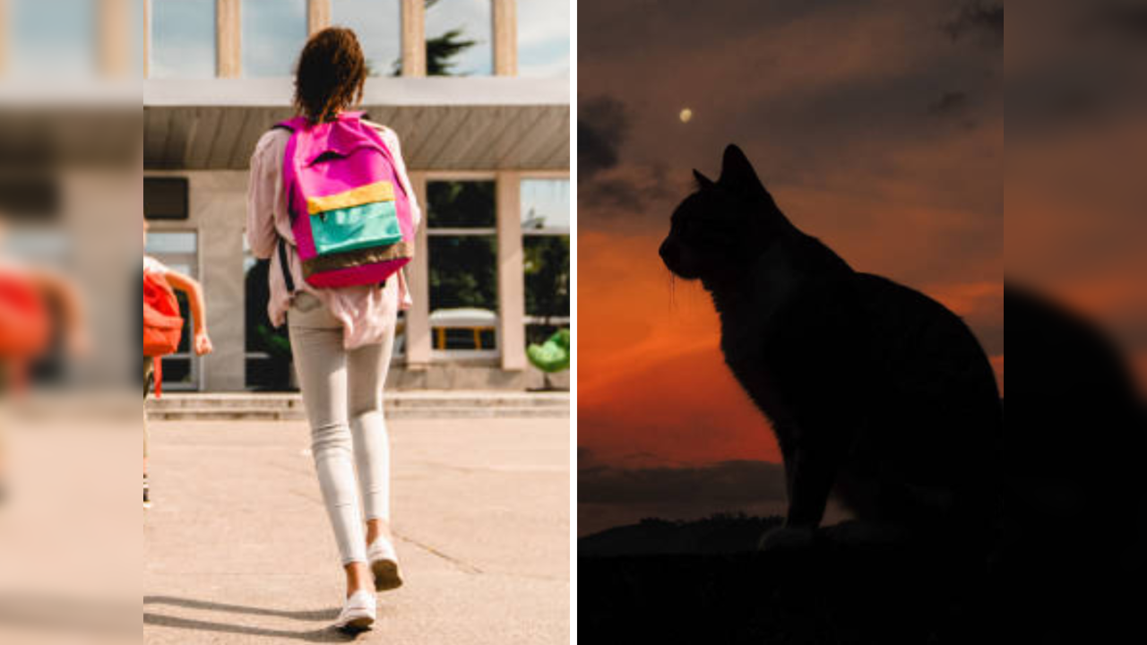 Teenage school girl dubbed 'phenomenally bright' identifies as a cat