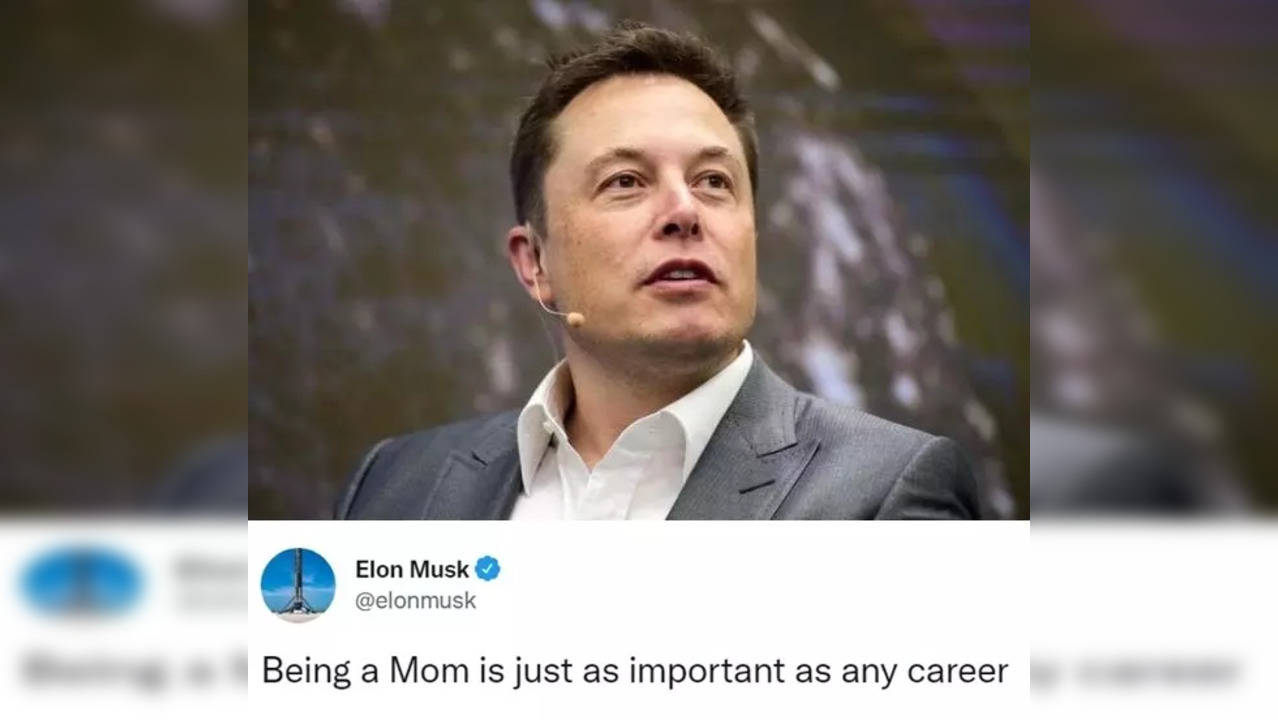 Elon Musk hits back at Tesla customer over criticism of FSD beta. (Image source: Twitter)