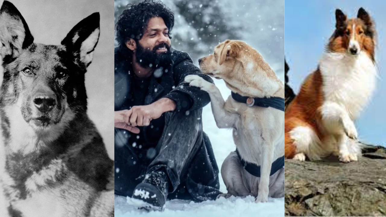 International Dog Day 2022: Here are the most famous doggos from the world  of entertainment