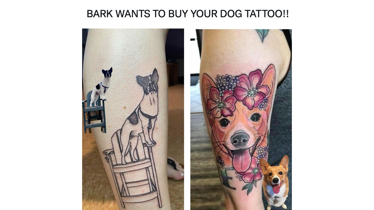 International Dog Day: This company will pay you to get a tattoo of your dog