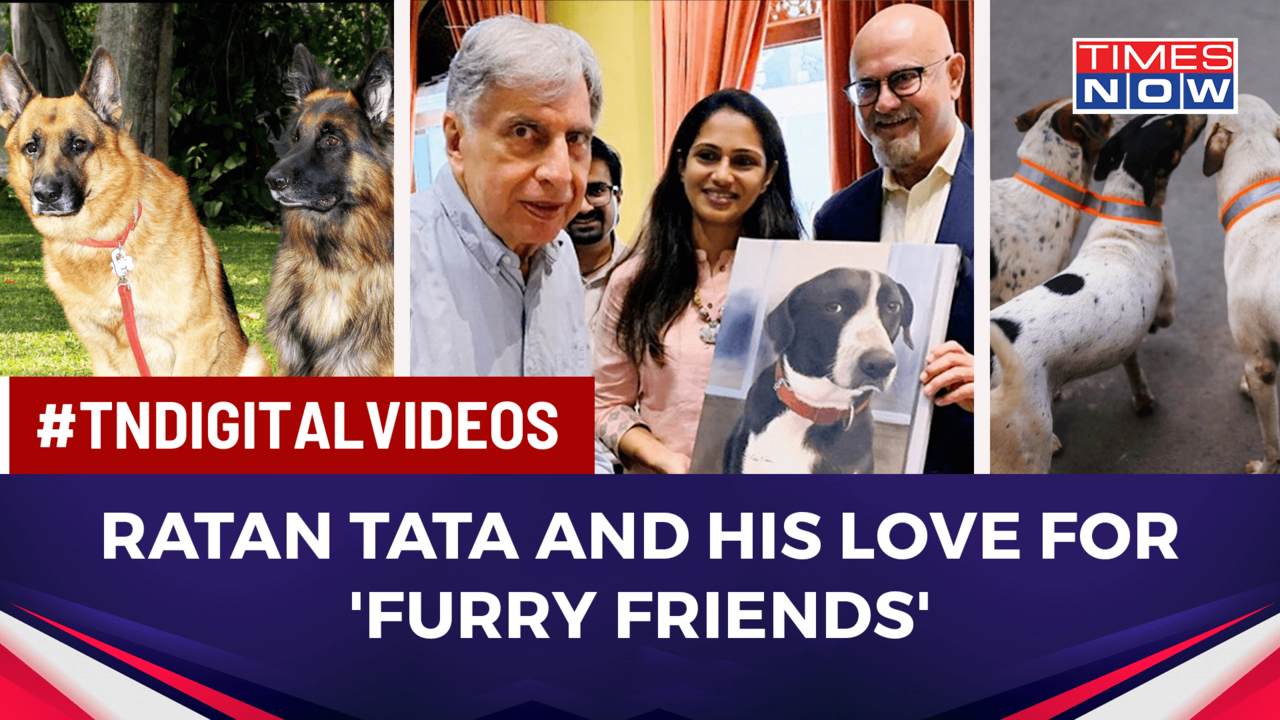 International Dog Day Ratan Tata's Love For Dogs Has Netizens Gushing