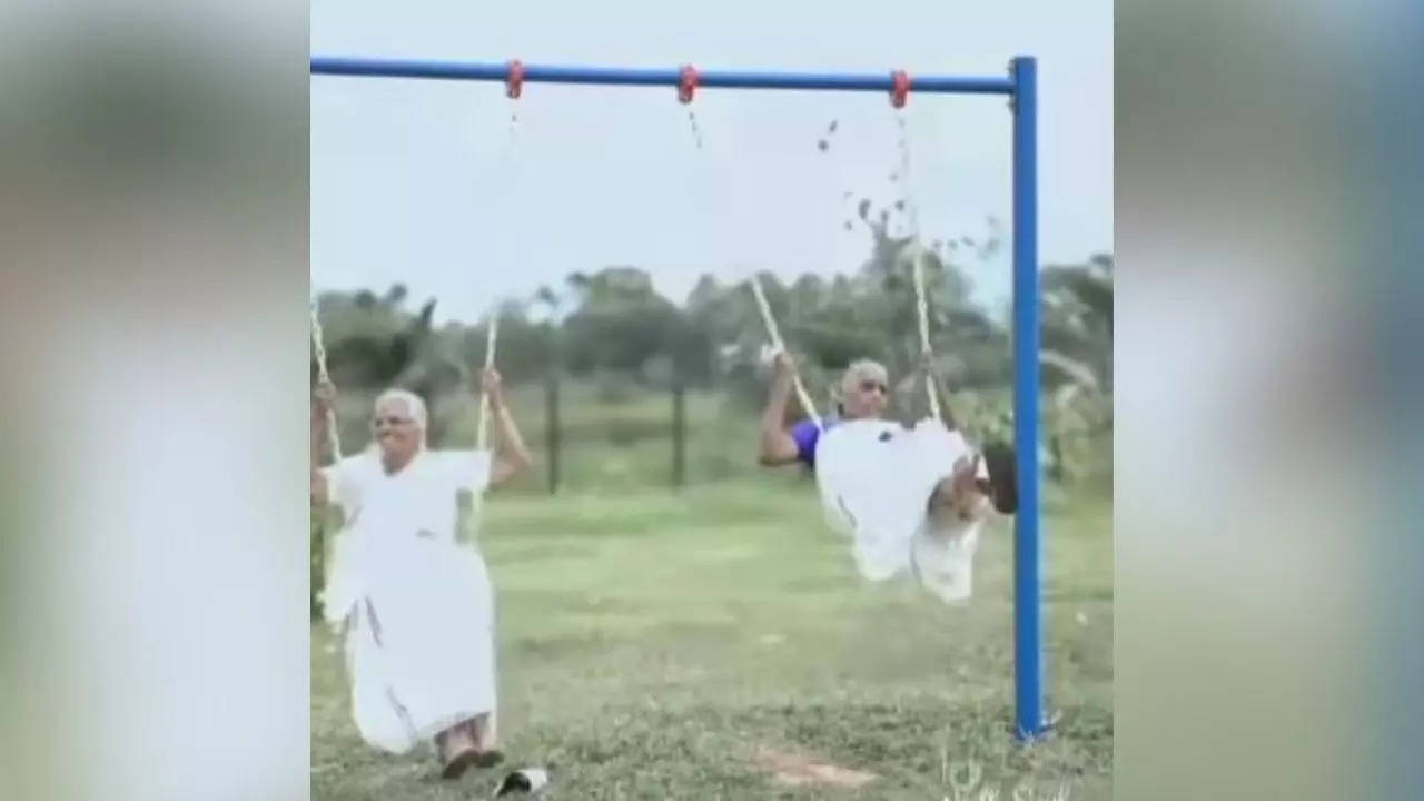 Elderly women on swings