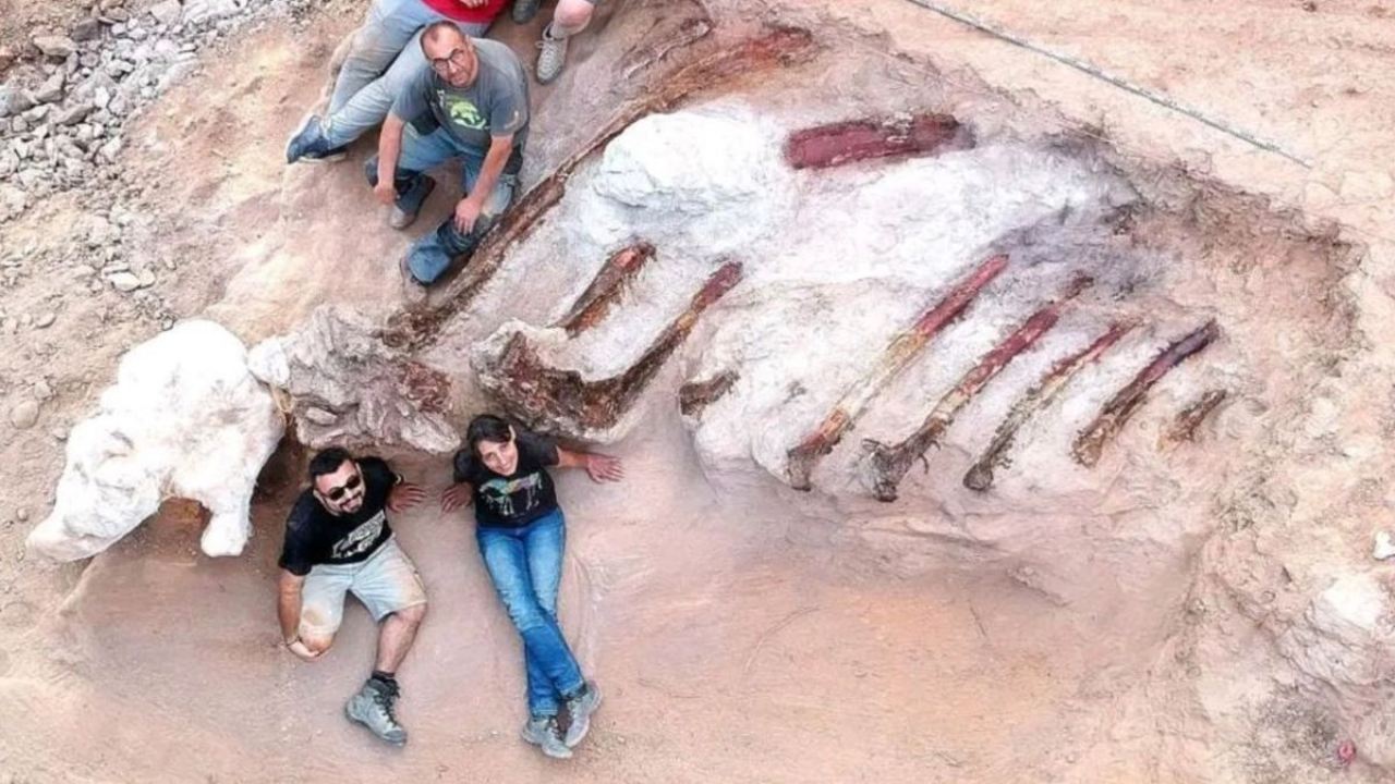 Portuguese man discovers 82-foot-long dinosaur skeleton in his backyard