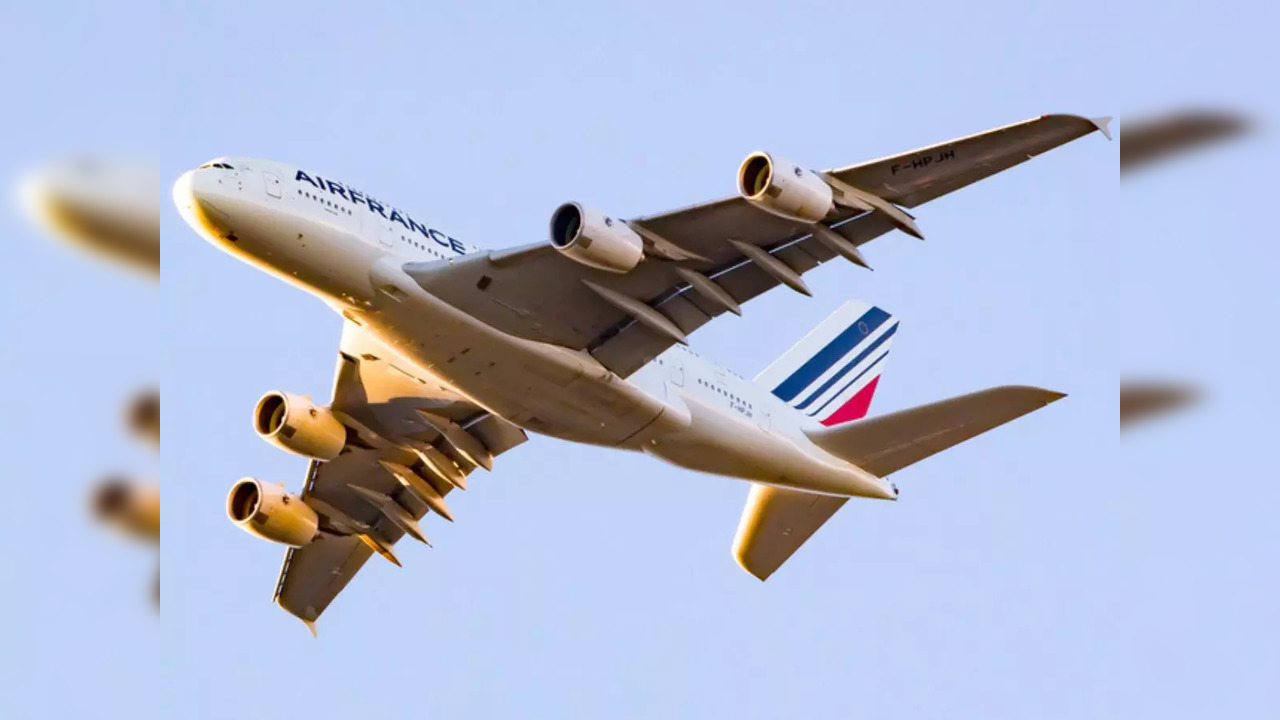 Two Air France pilots suspended after fight in cockpit mid-flight