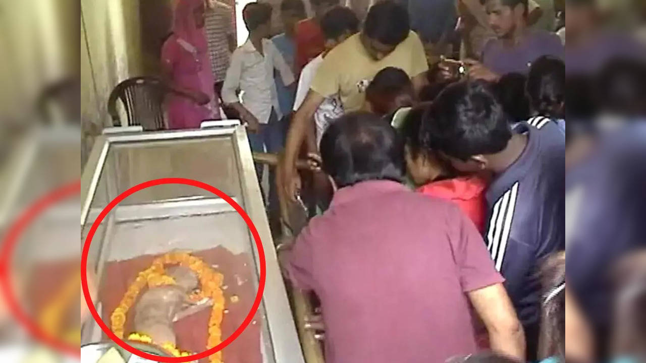 Worshippers gather to catch a glimpse of a cow born with a 'human-like' face in UP