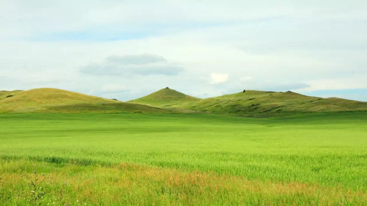 istockphoto-grasslands