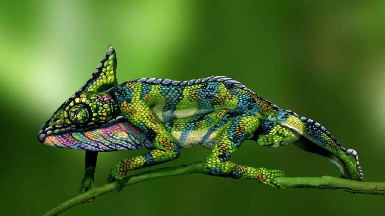 Optical illusion of a chameleon hides two women within | Picture courtesy: Johannes Stoetter