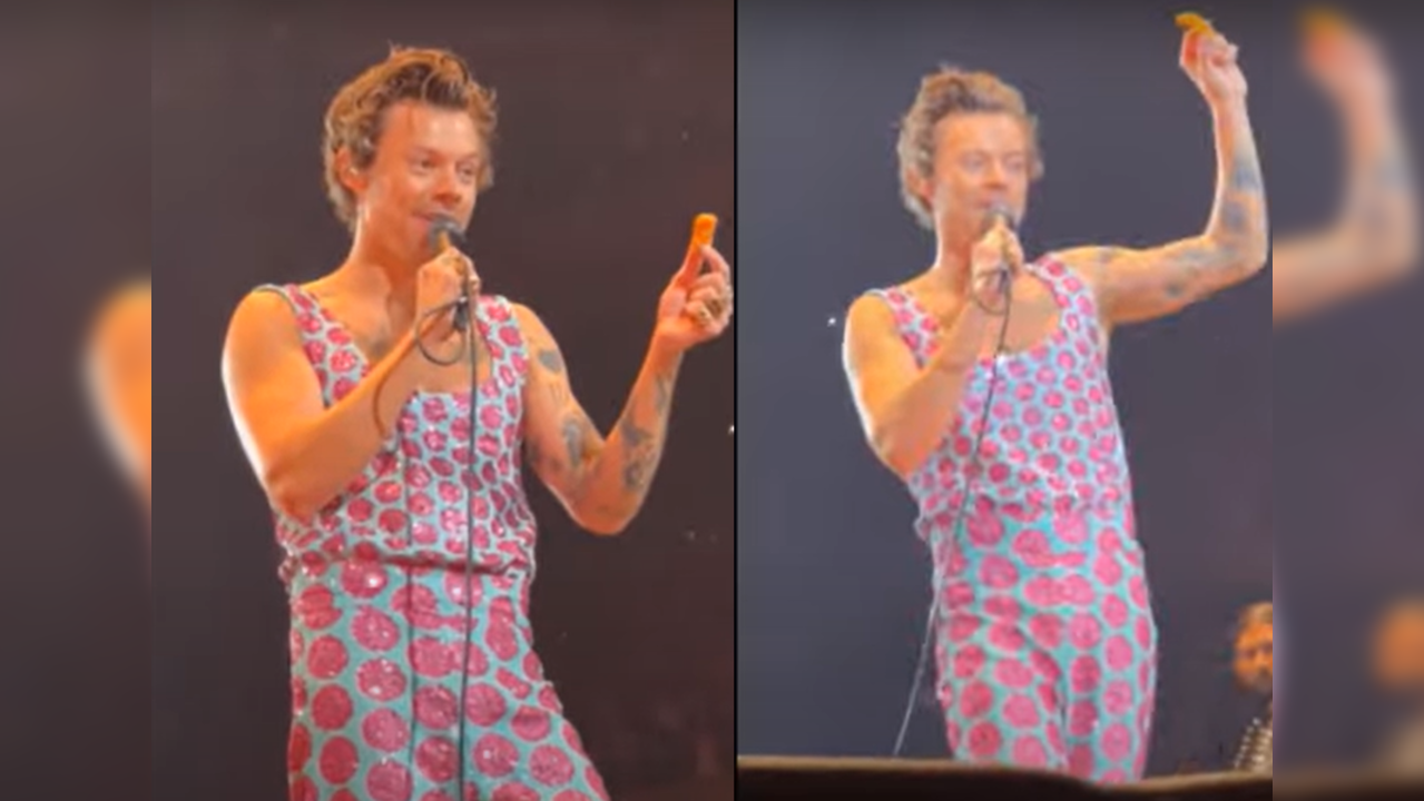 Chicken Nugget thrown at Harry Styles during show