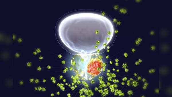 EJACULATION FREQUENCY AND PROSTATE CANCER visual data 5