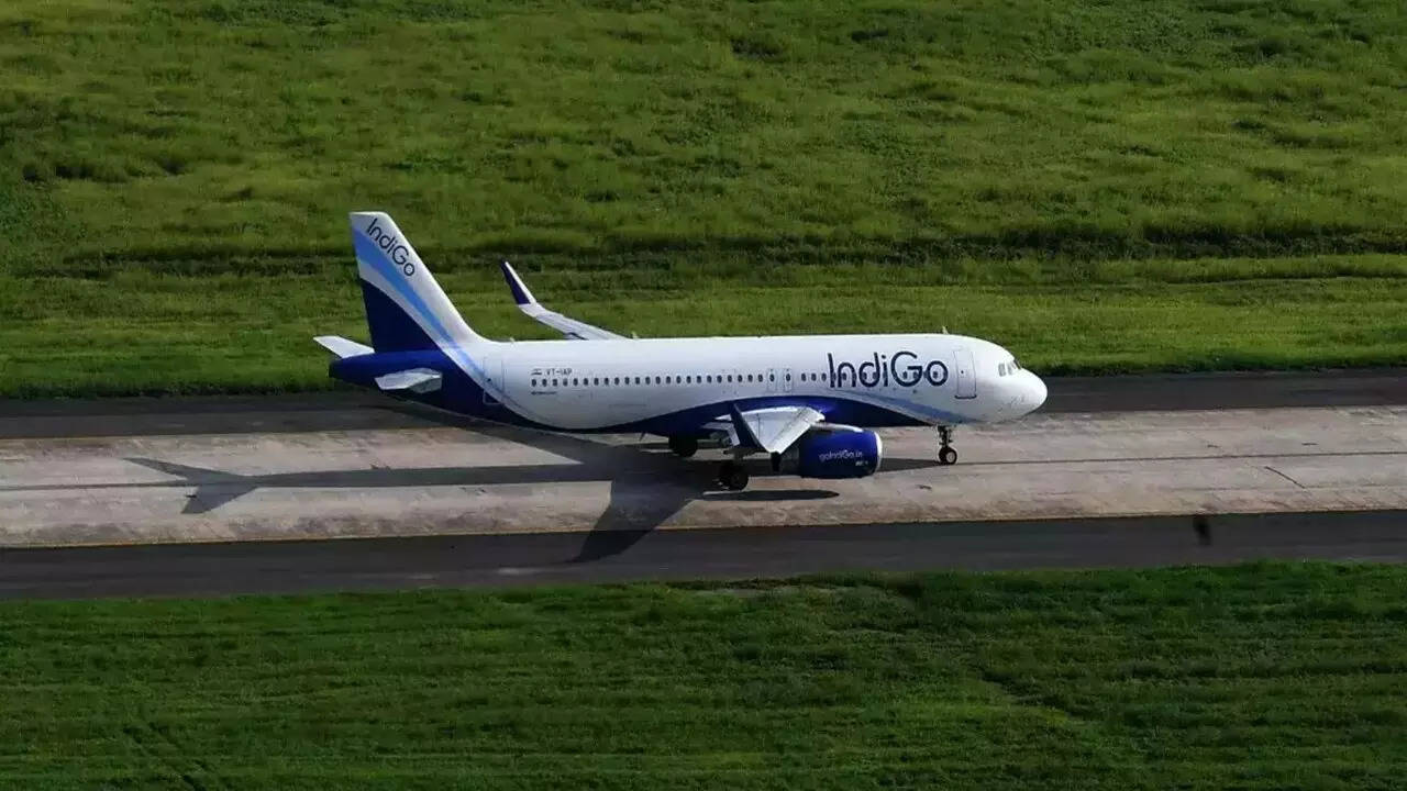 IndiGo