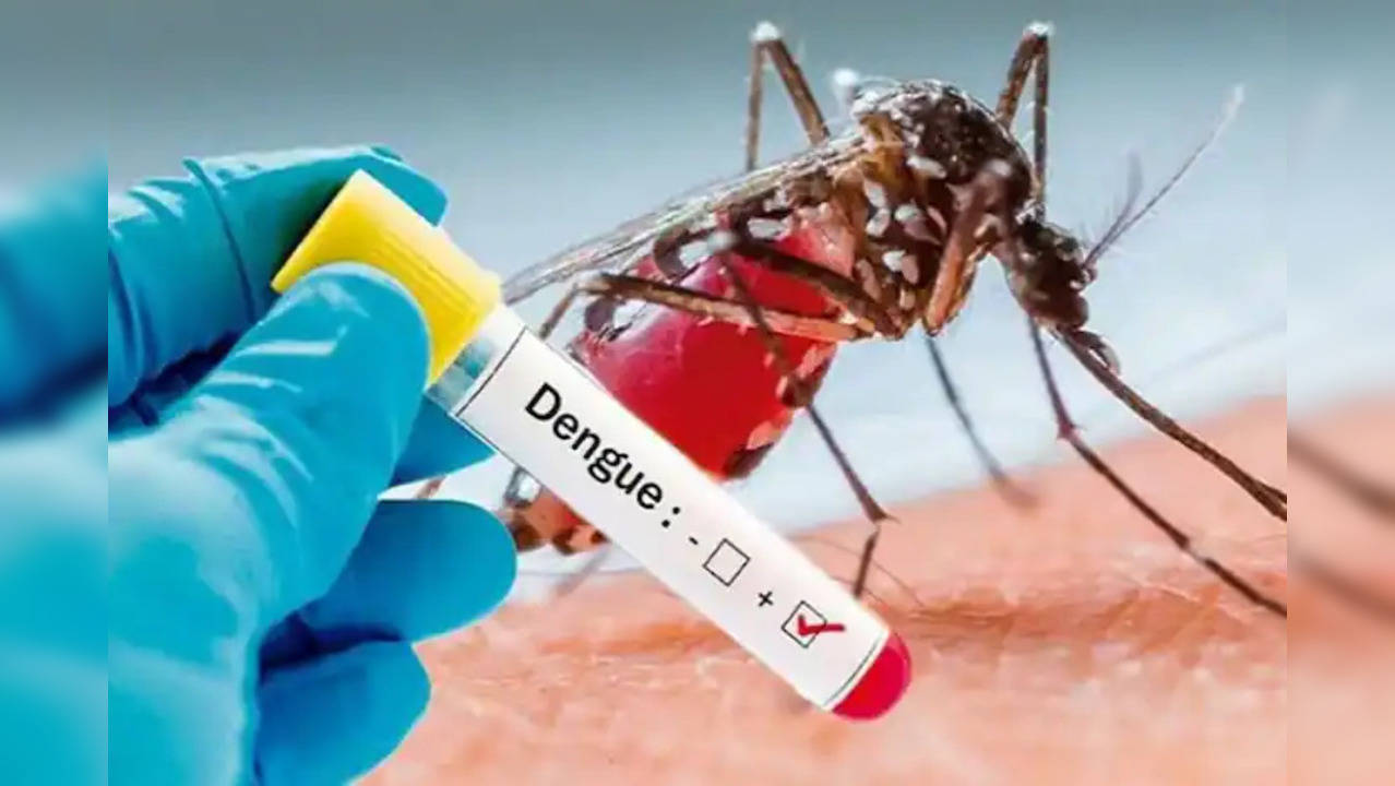 dengue.