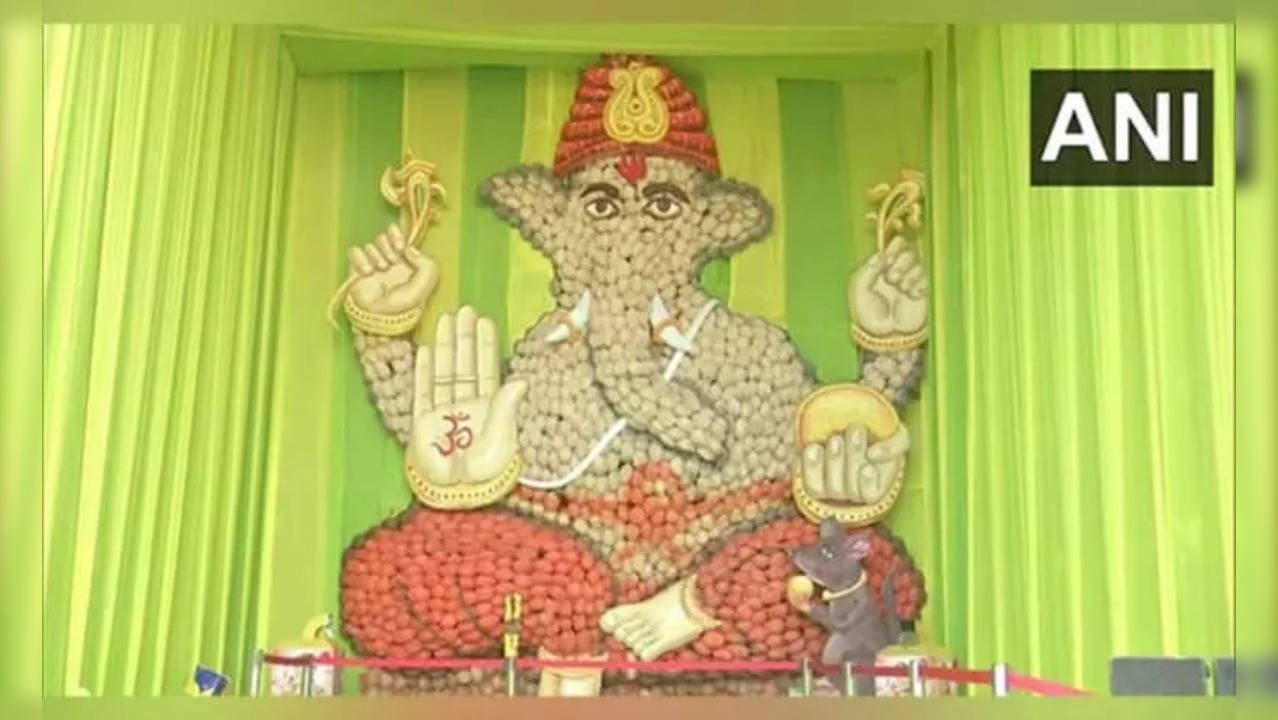 coconut ganesh idol - ANI