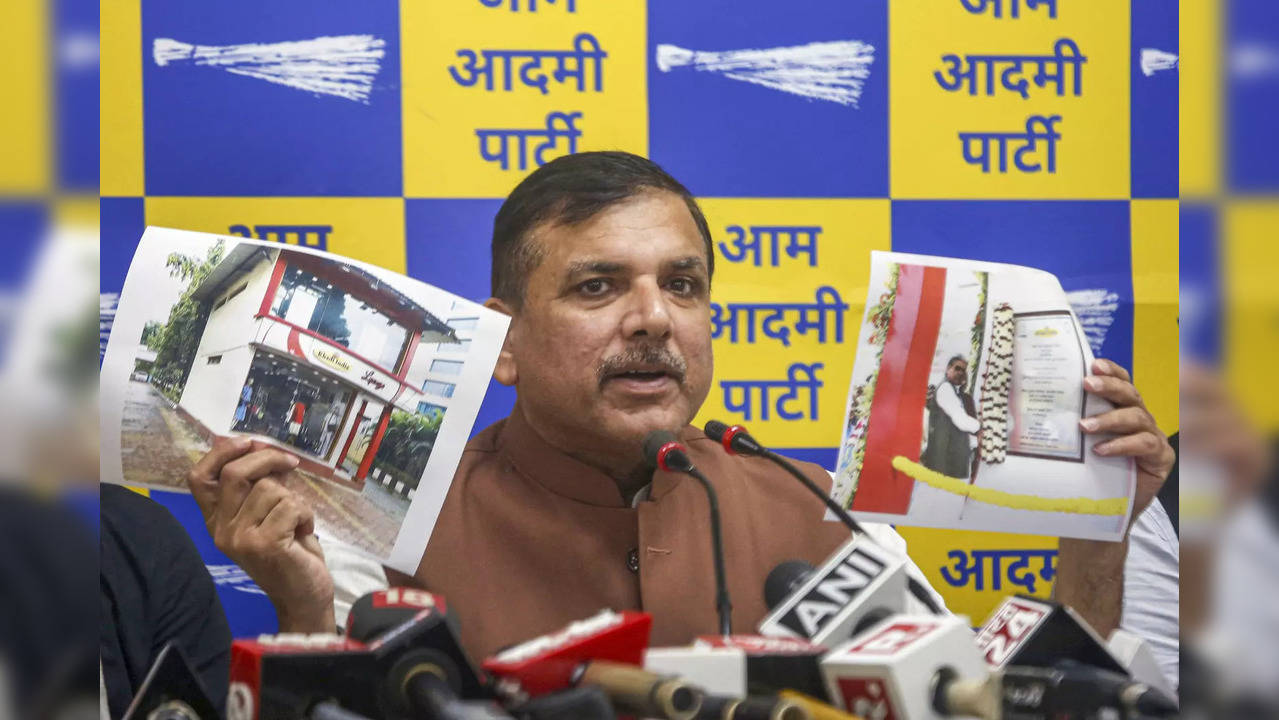 New Delhi: Aam Aadmi Party (AAP) leader Sanjay Singh addresses a press conferenc...