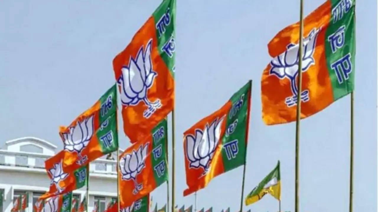 BJP Flags