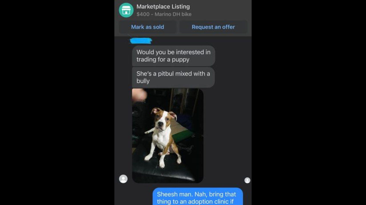 Man tries to trade his puppy for bike on Facebook Marketplace